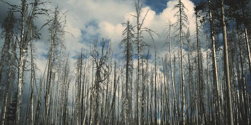 无人机航测+GIS技术：潍坊农村土地确权登记测绘的高效精准解决方案