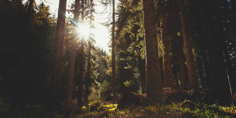 潍坊不动产测绘与房产面积计算：关键技术要点与争议解决