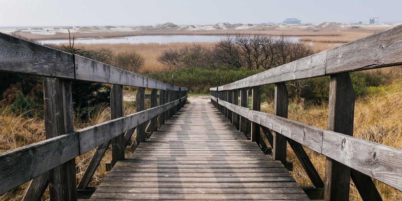 潍坊不动产测绘与权籍调查新纪元：三维激光扫描技术如何重塑工程测量精度