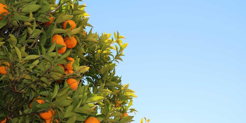 潍坊测绘数据安全与保密管理规范深度解读：筑牢土地调查与地理信息工程的生命线