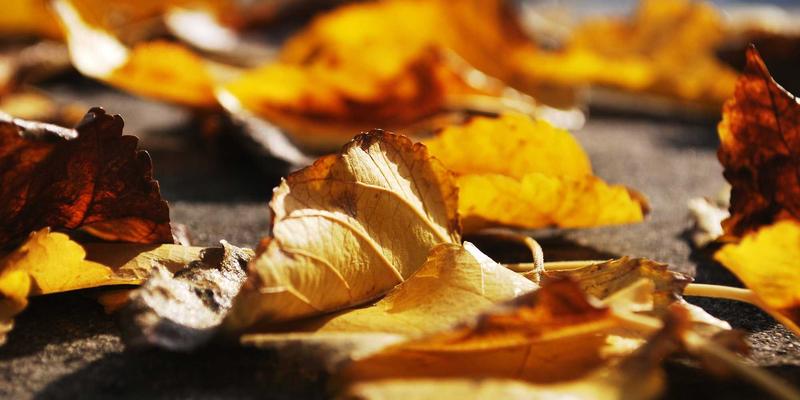 潍坊测绘行业人才培养与职业技能提升路径深度解析：工程测量与地理信息发展的关键支撑