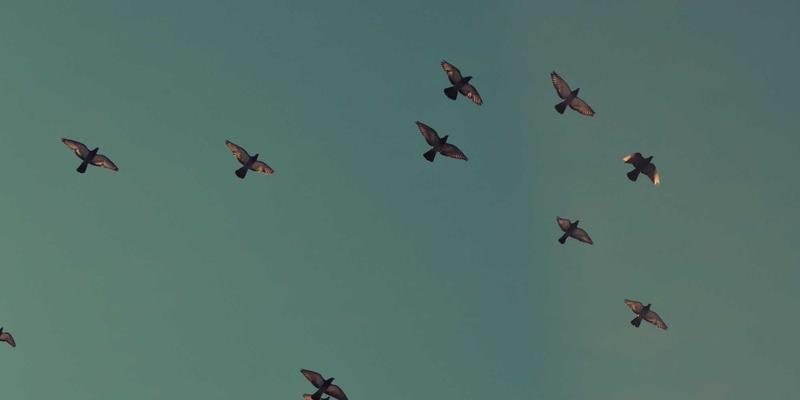 潍坊海洋测绘与海岸带地理信息监测：驱动蓝色经济发展的关键技术